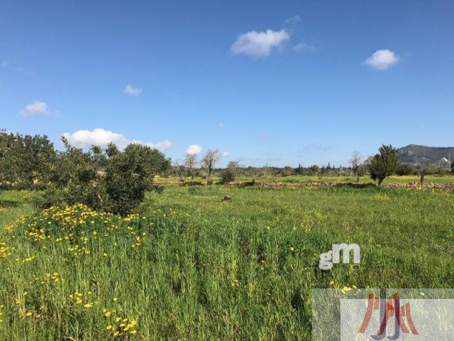 For sale of land in Palma de Mallorca