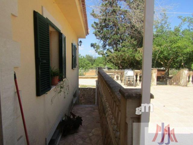 For sale of rural property in Palma de Mallorca