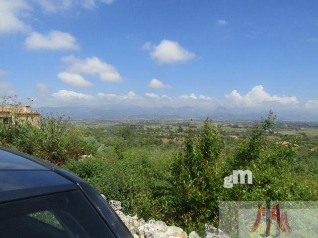 Vendita di terreno in Santa Eugènia