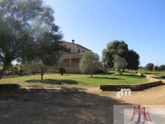 For sale of rural property in Palma de Mallorca