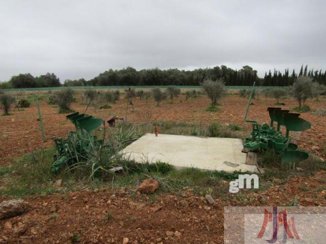 Venta de finca rústica en Santa Eugènia