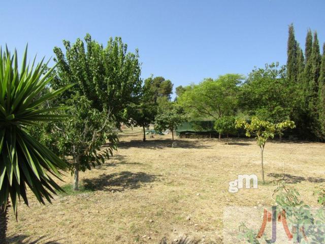 Venda de finca rústica a Sant Joan