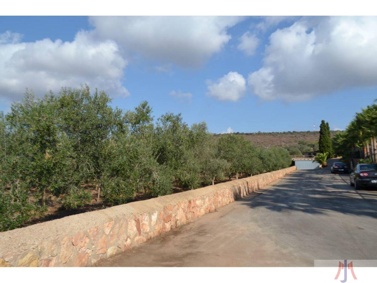 For sale of rural property in Palma de Mallorca