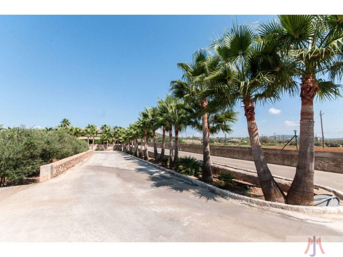 For sale of rural property in Palma de Mallorca