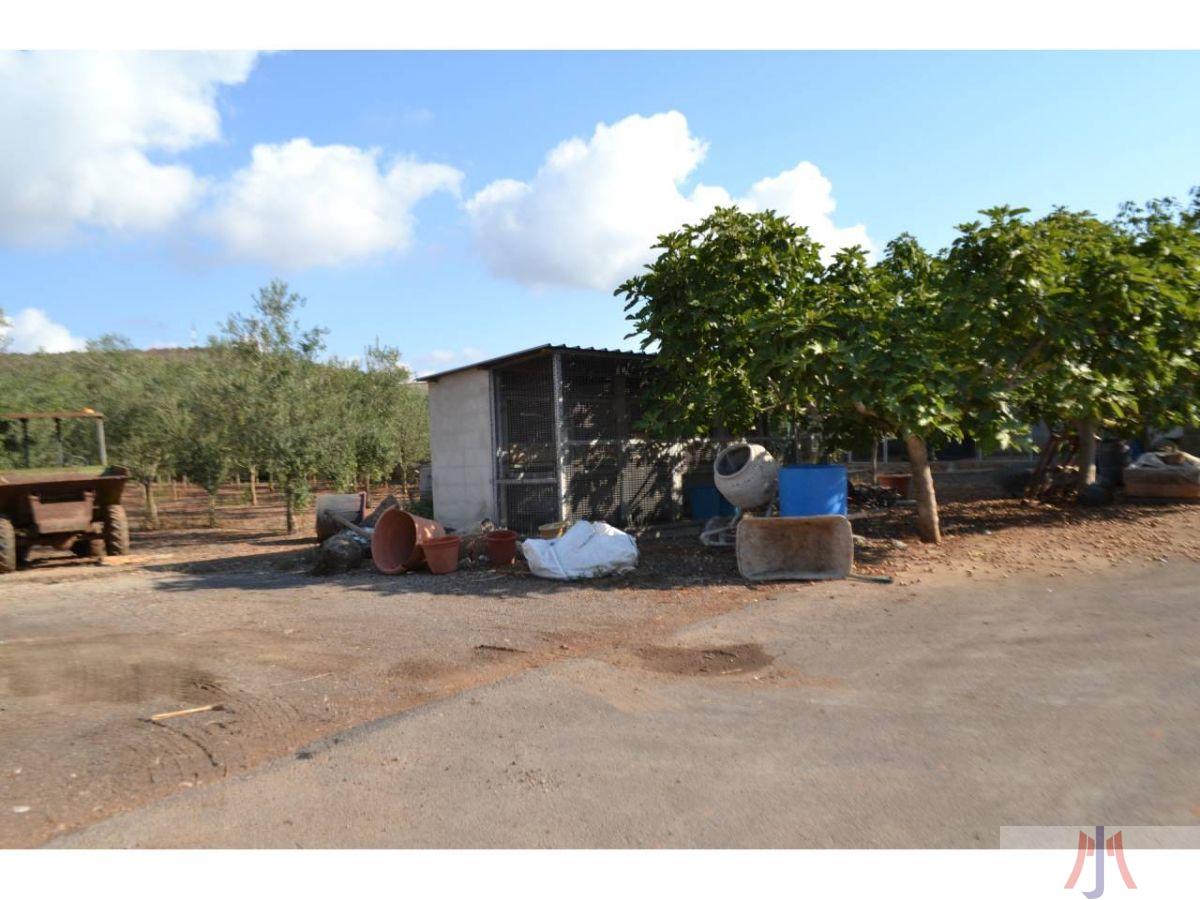 Venda de finca rústica a Palma de Mallorca