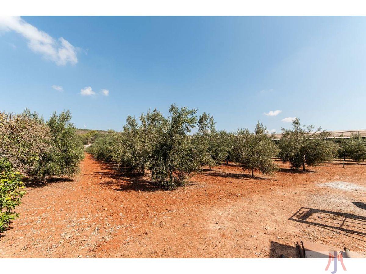 Venta de finca rústica en Palma de Mallorca