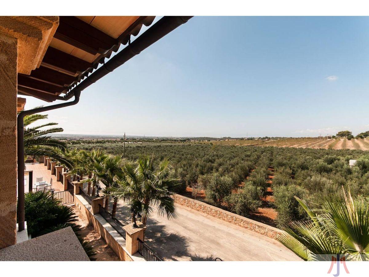 Vente de propriété rurale dans Palma de Mallorca