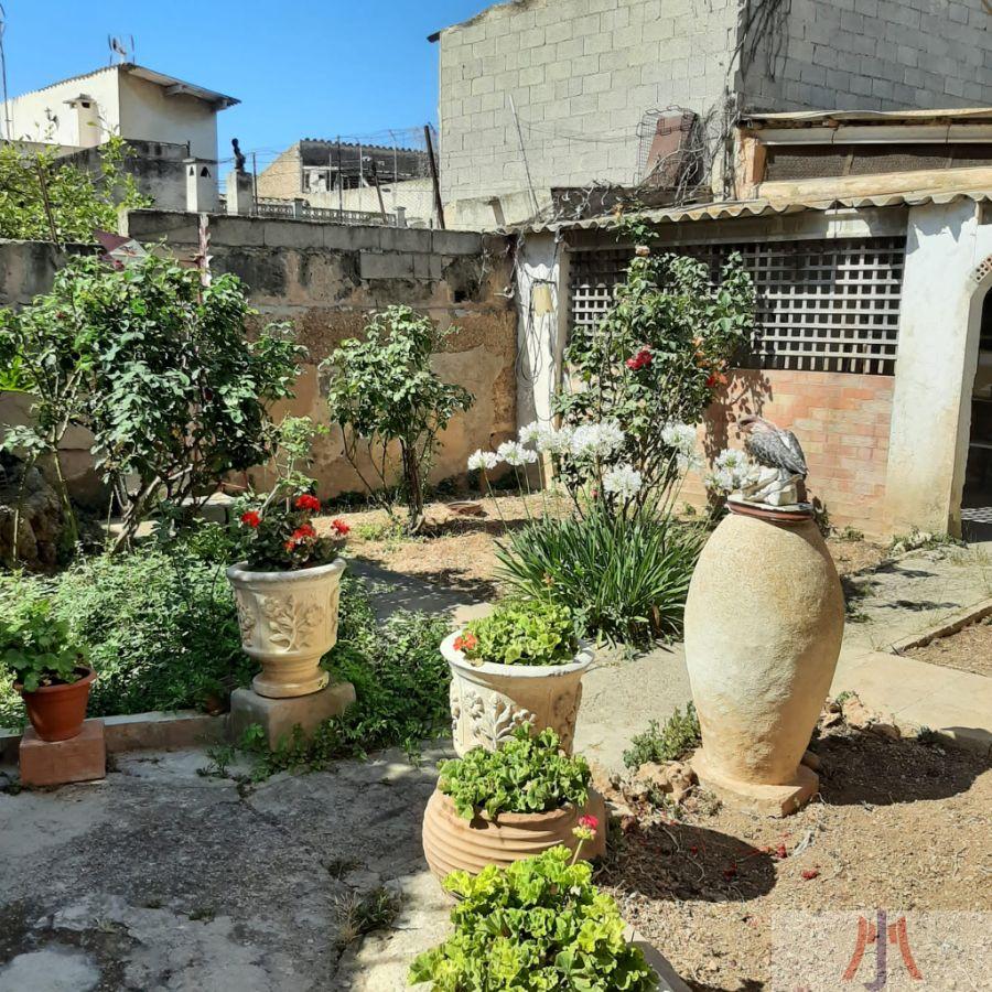 Venda de planta baixa a Palma de Mallorca