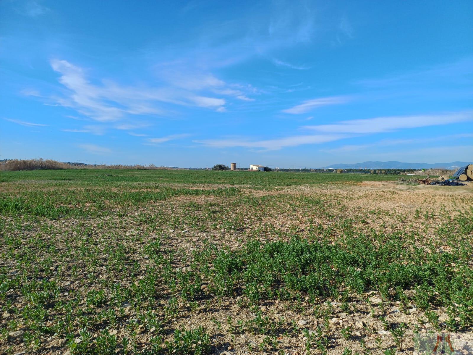 Venda de finca rústica a Palma de Mallorca