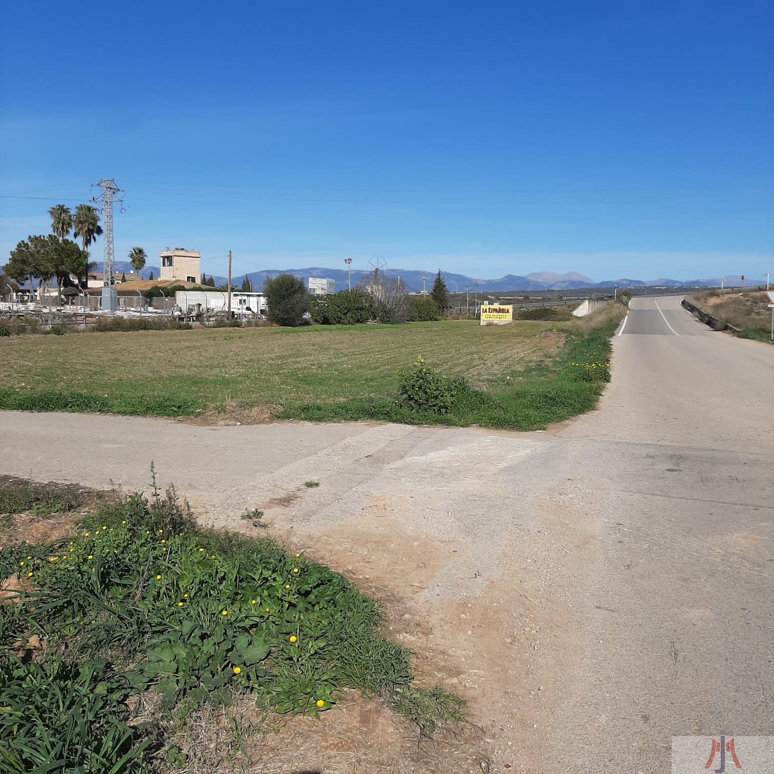 Venta de finca rústica en Palma de Mallorca