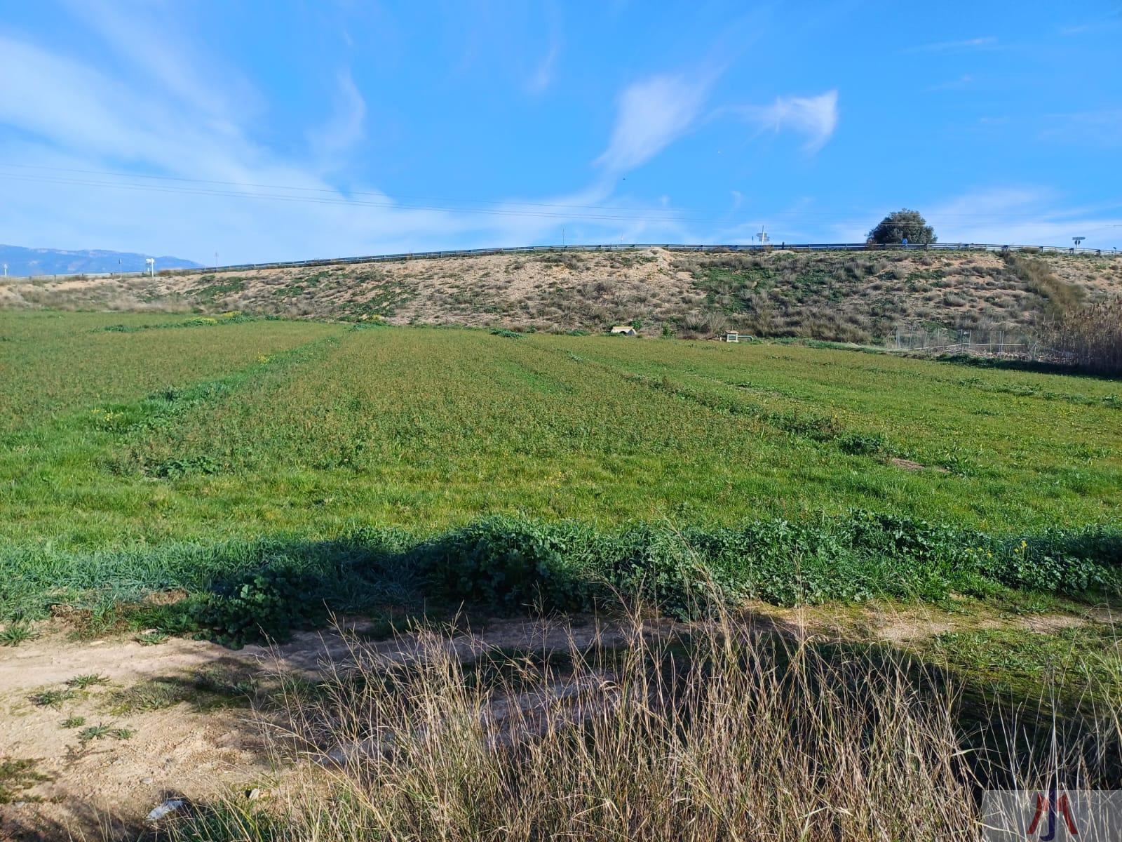 Venta de finca rústica en Palma de Mallorca