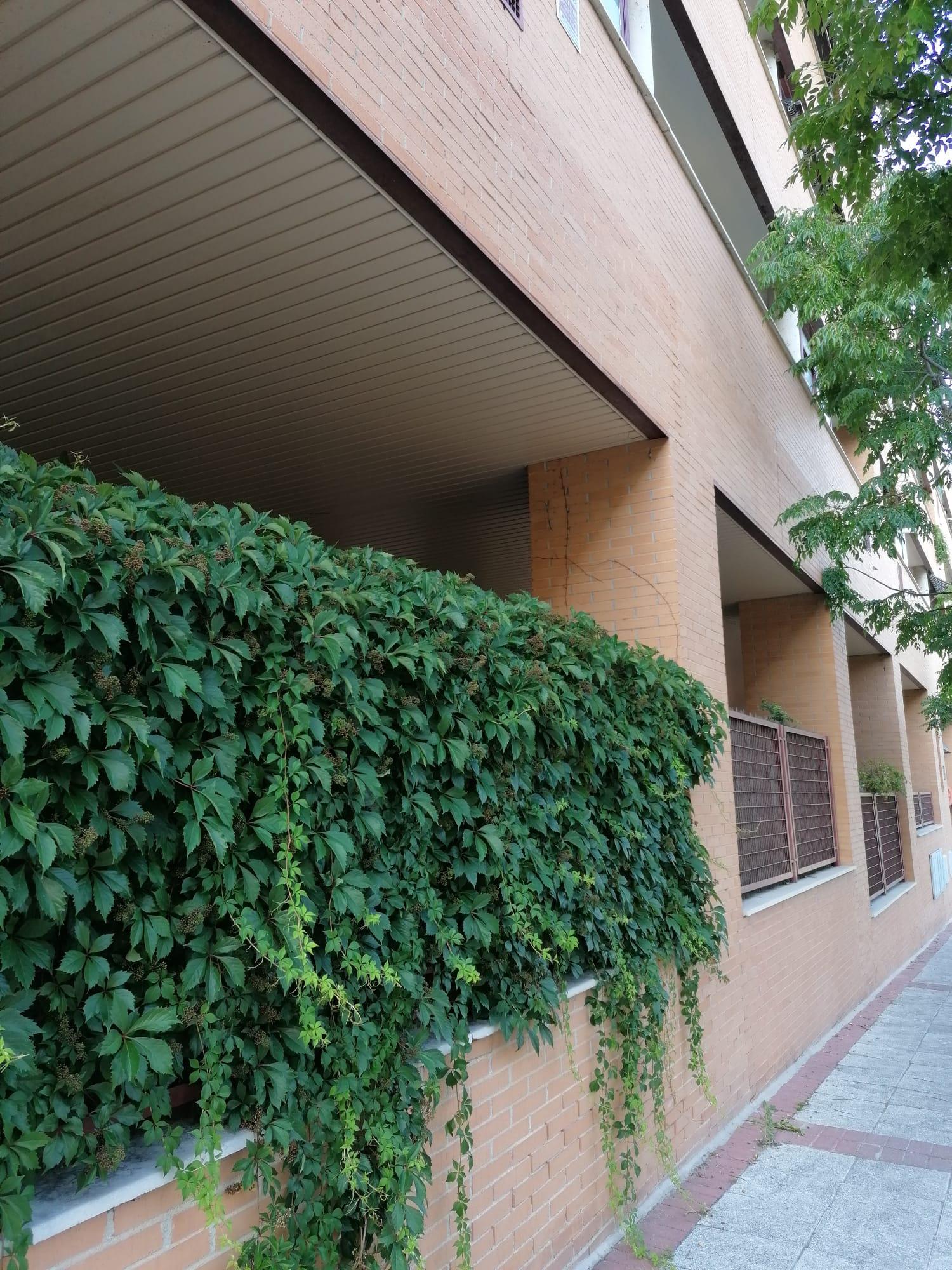 For sale of flat in Alcobendas