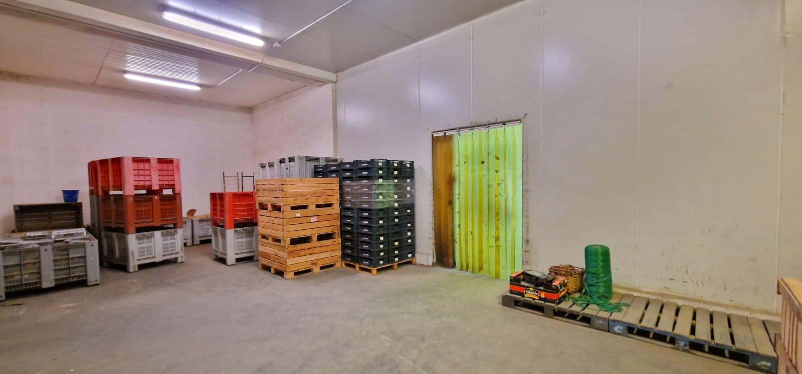 For rent of industrial plant/warehouse in Algete