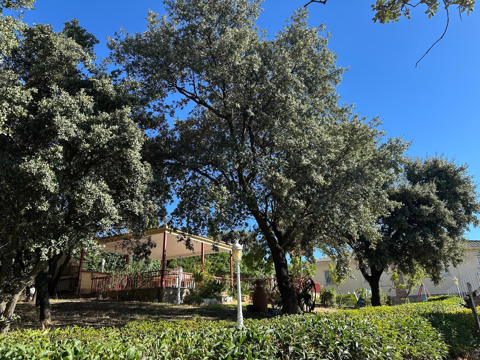 For sale of land in El Casar