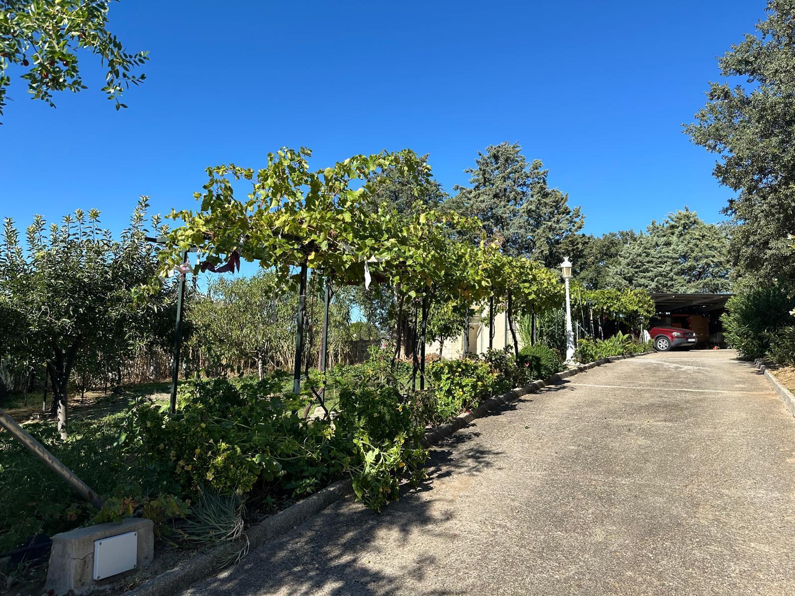 For sale of land in El Casar