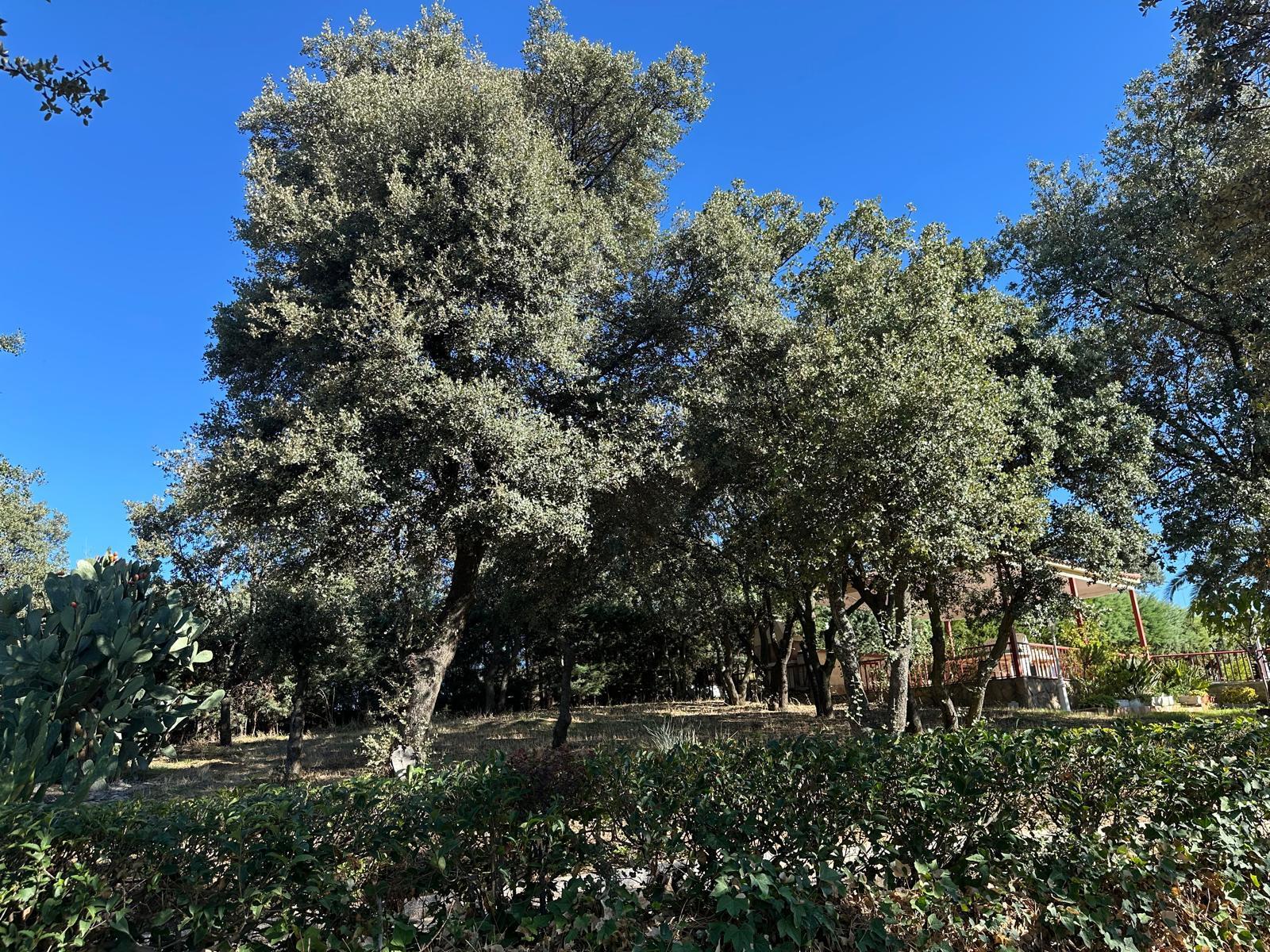 For sale of land in El Casar