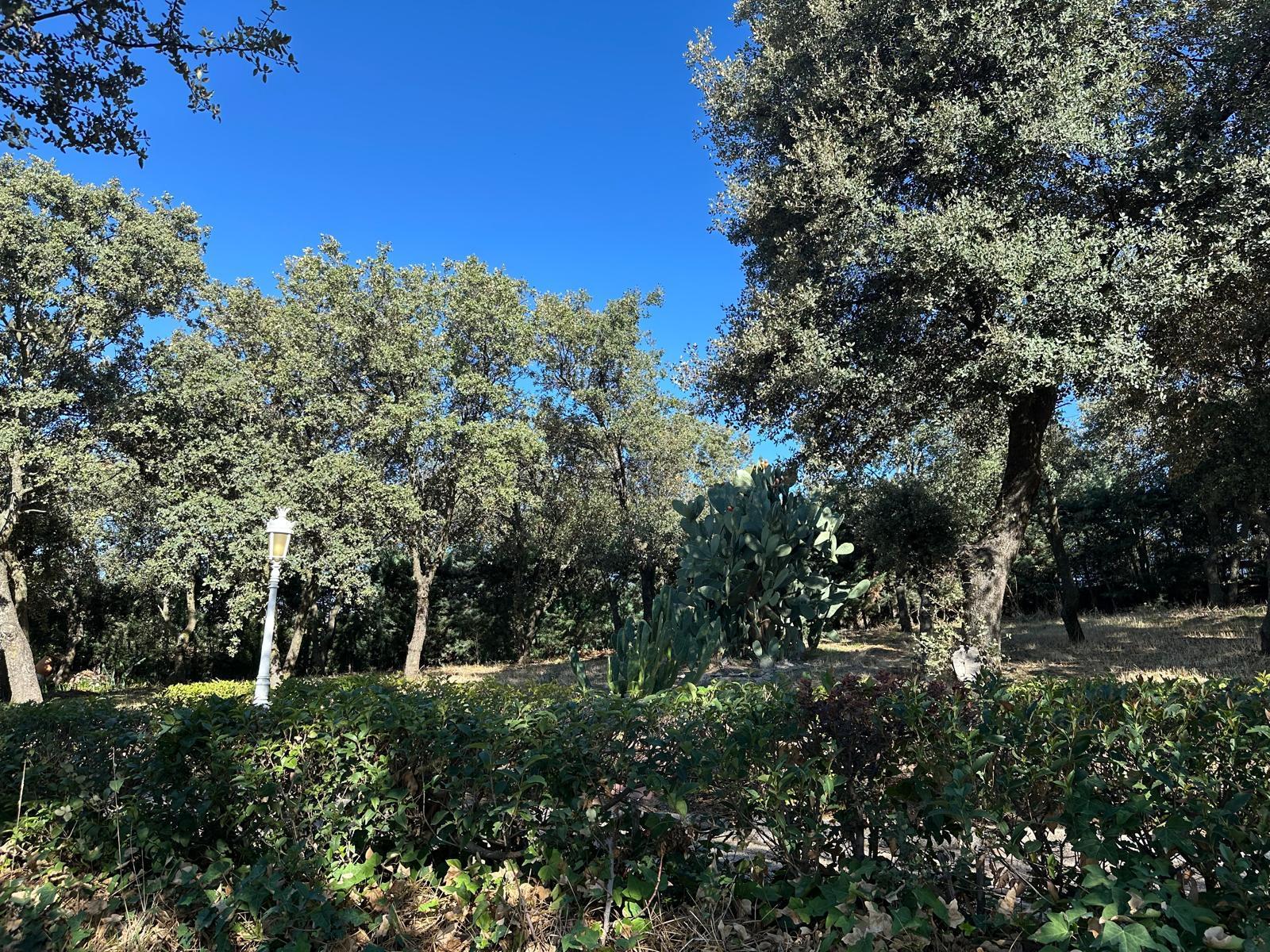 For sale of land in El Casar