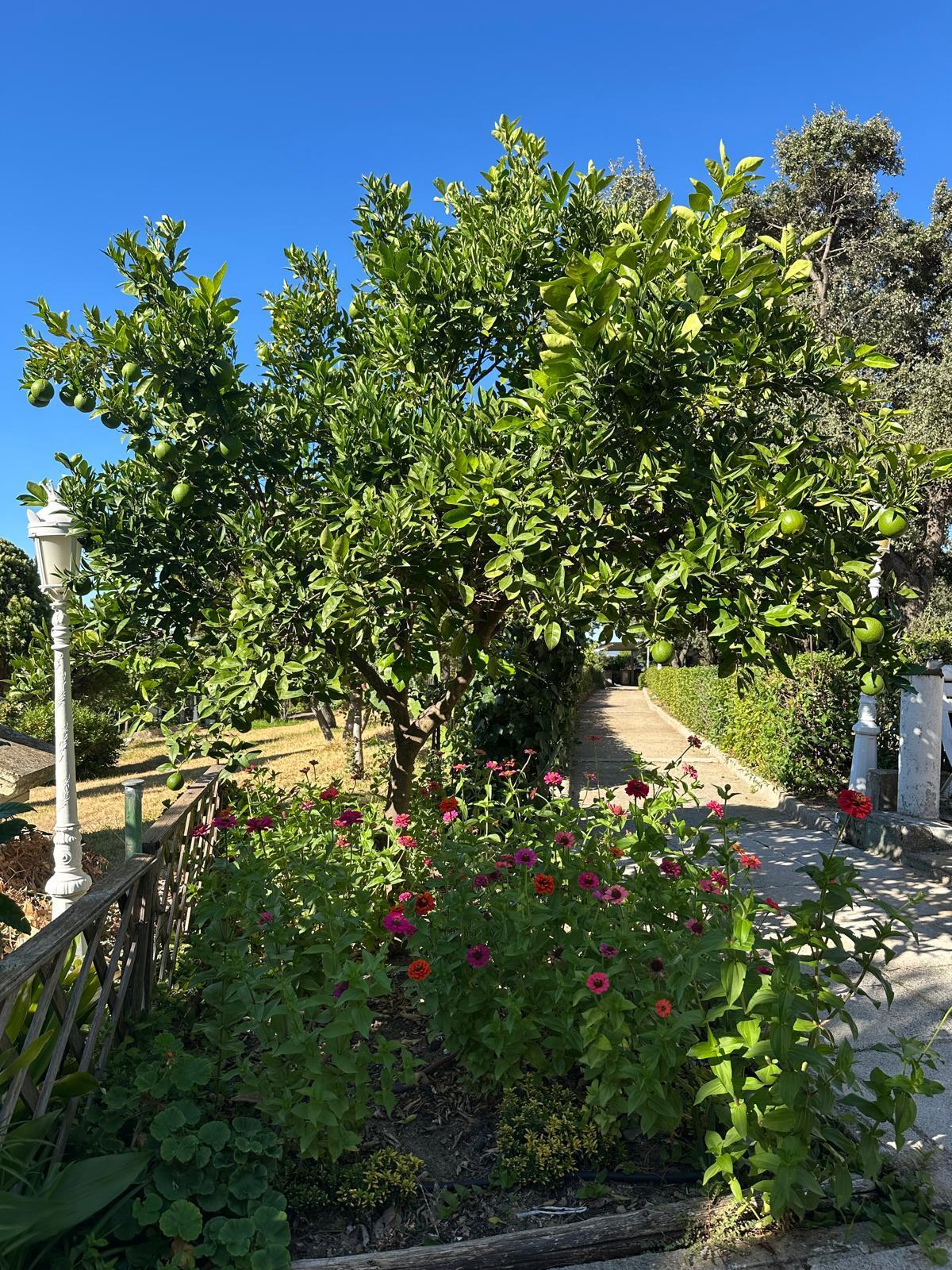 For sale of land in El Casar