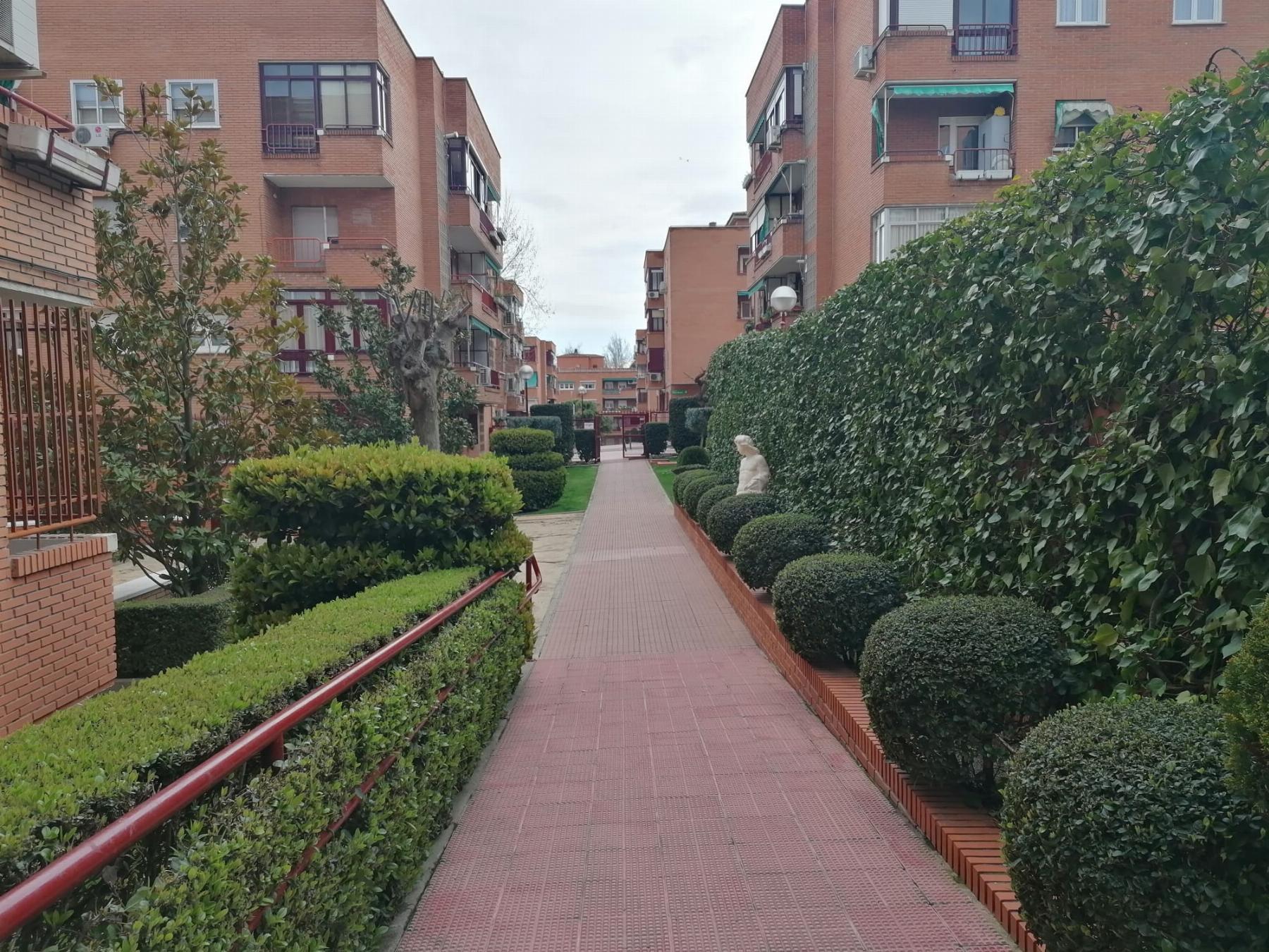 For rent of flat in Alcobendas