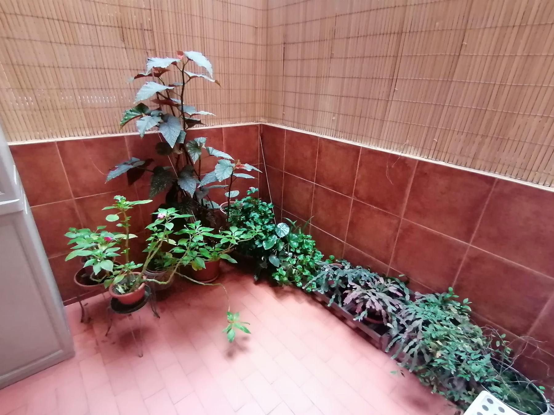 Venta de piso en San Sebastián de los Reyes
