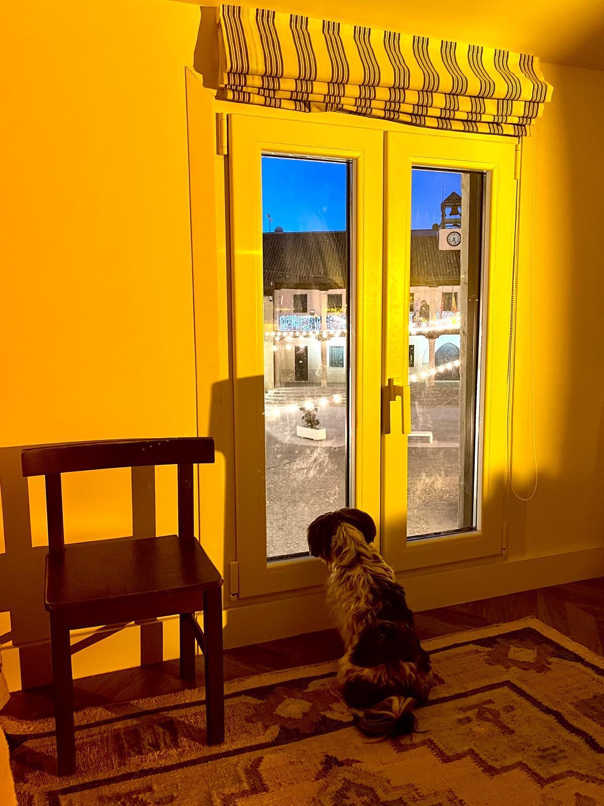 Venta de piso en Torrelaguna
