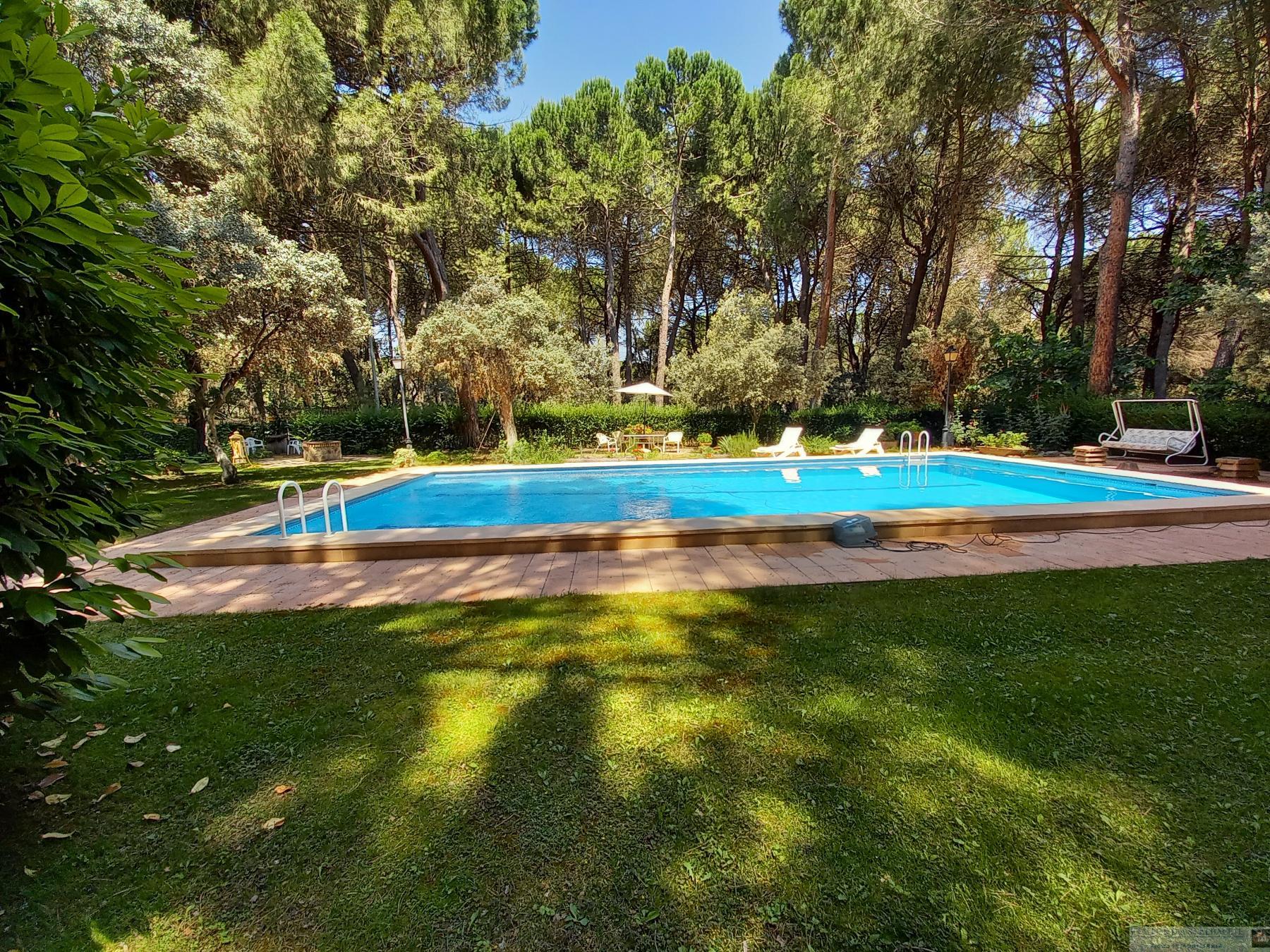 Venta de chalet en Albacete Venta de chalet en Albacete