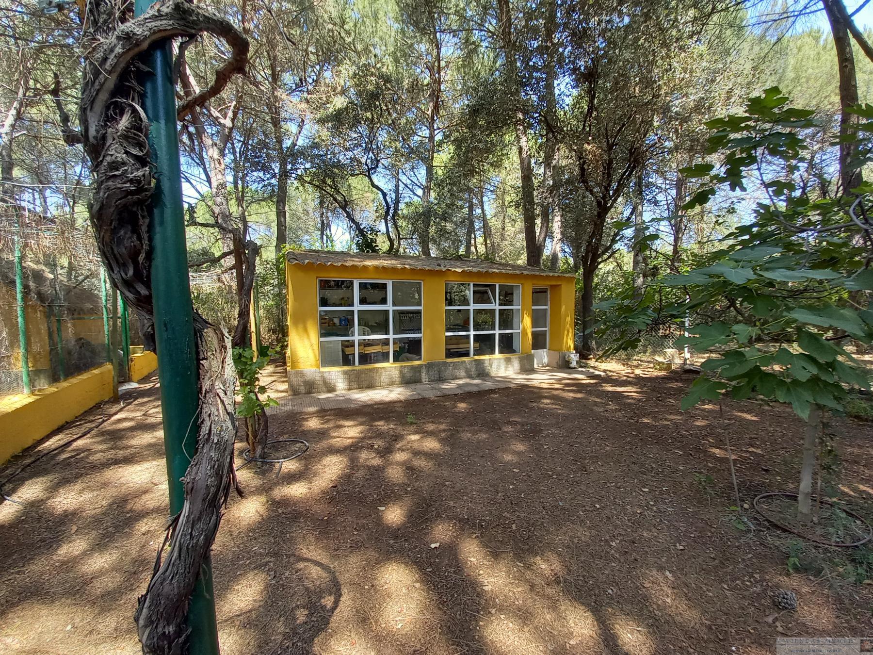 Venta de chalet en Albacete Venta de chalet en Albacete