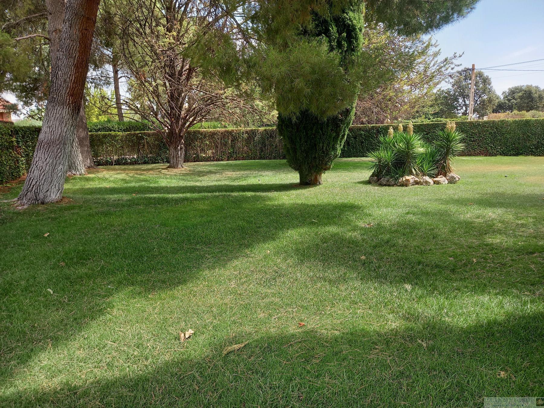 For sale of chalet in Albacete
