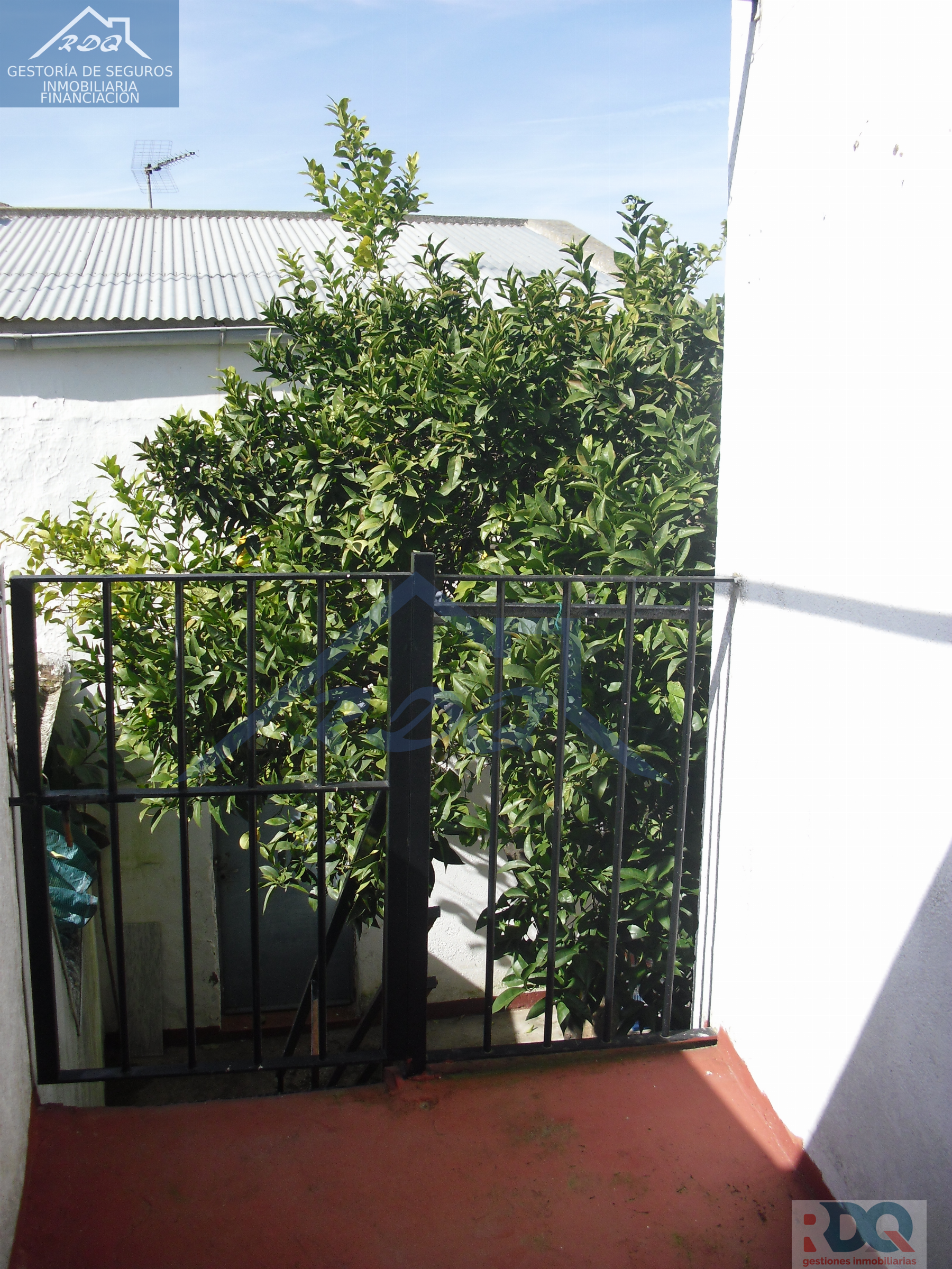 For sale of house in Alburquerque