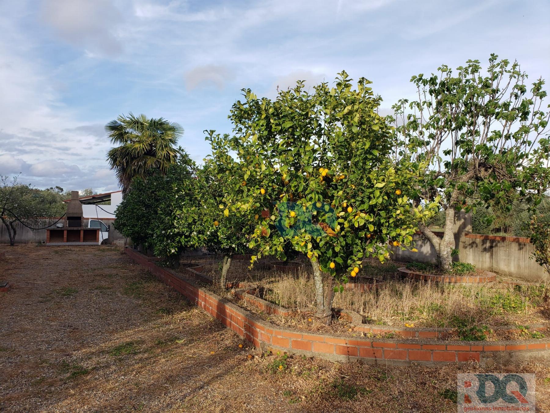 Venta de casa en La Codosera