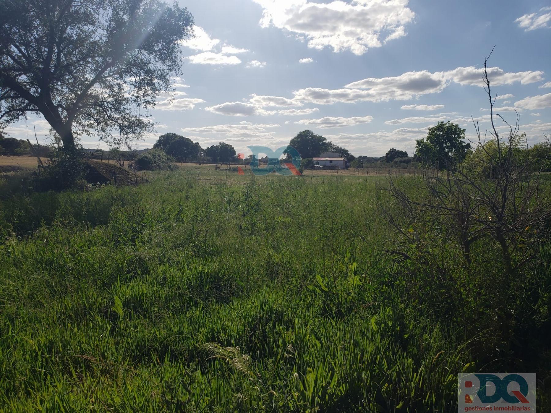 For sale of rural property in Alburquerque