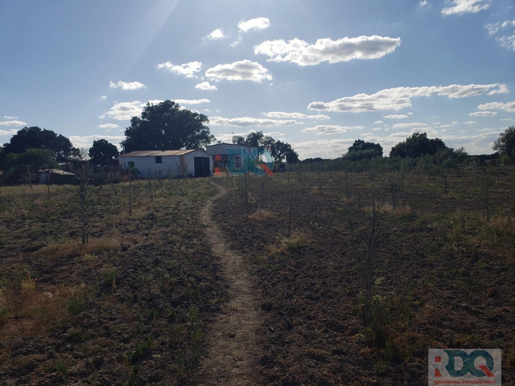 For sale of rural property in Alburquerque
