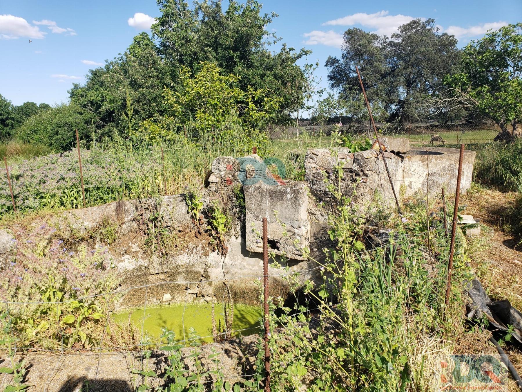 For sale of rural property in Alburquerque