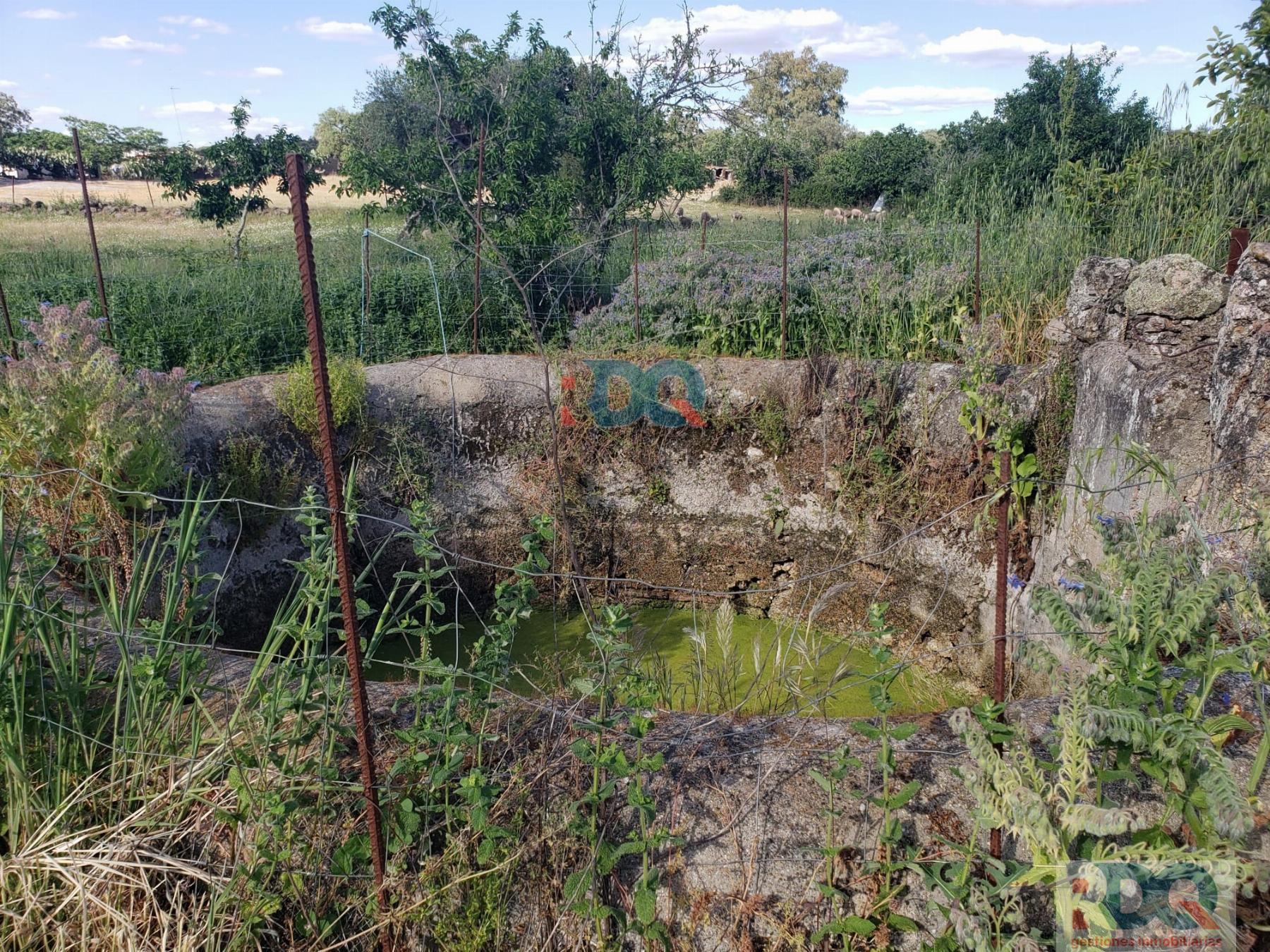 Venta de finca rústica en Alburquerque