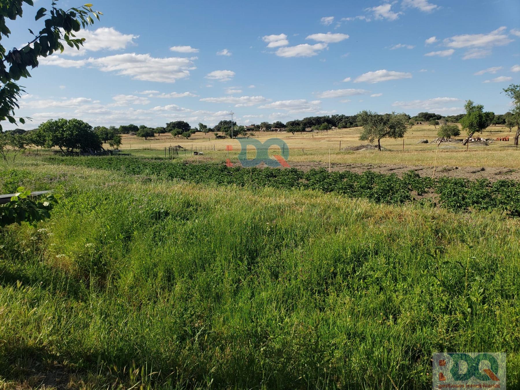 For sale of rural property in Alburquerque