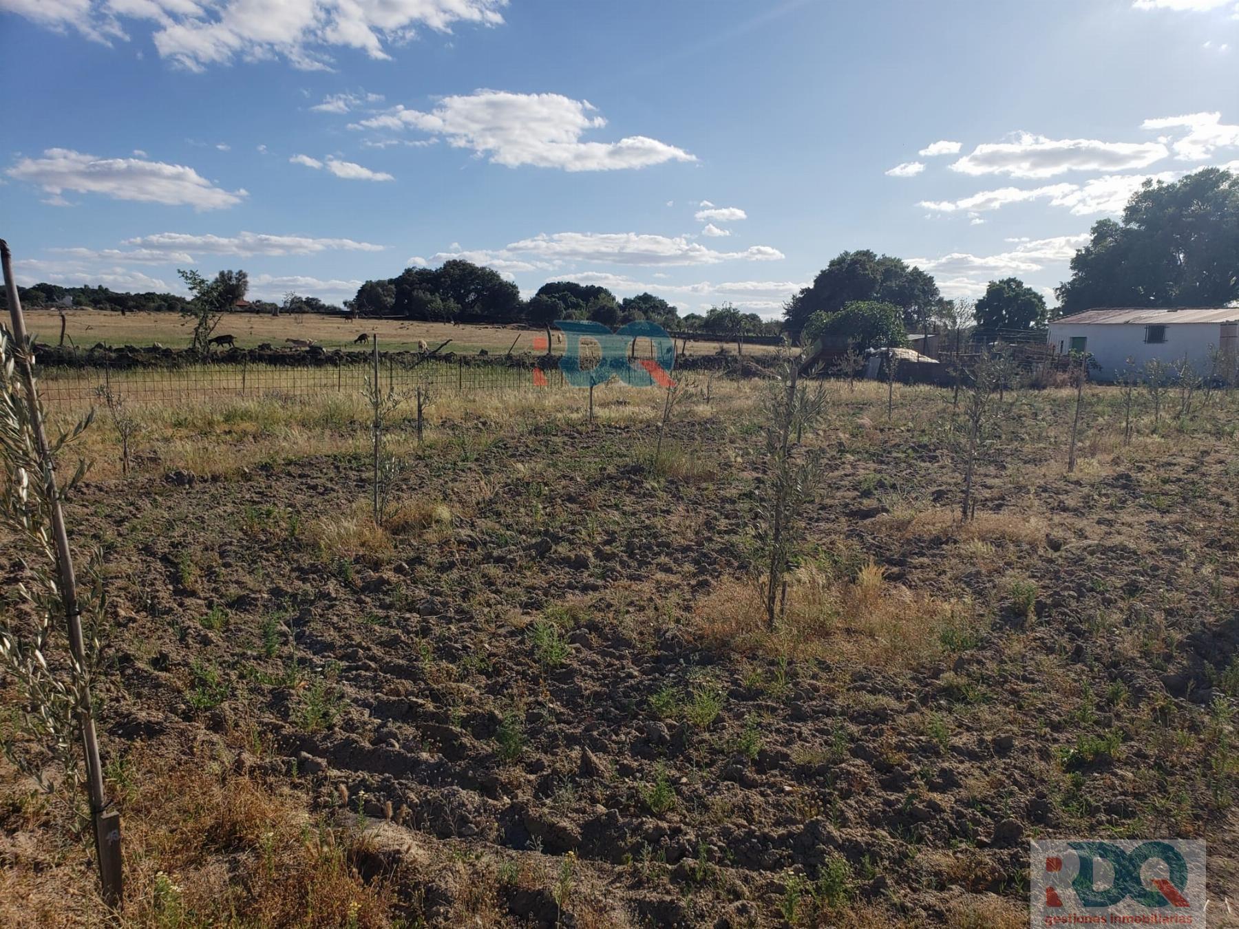 Venta de finca rústica en Alburquerque