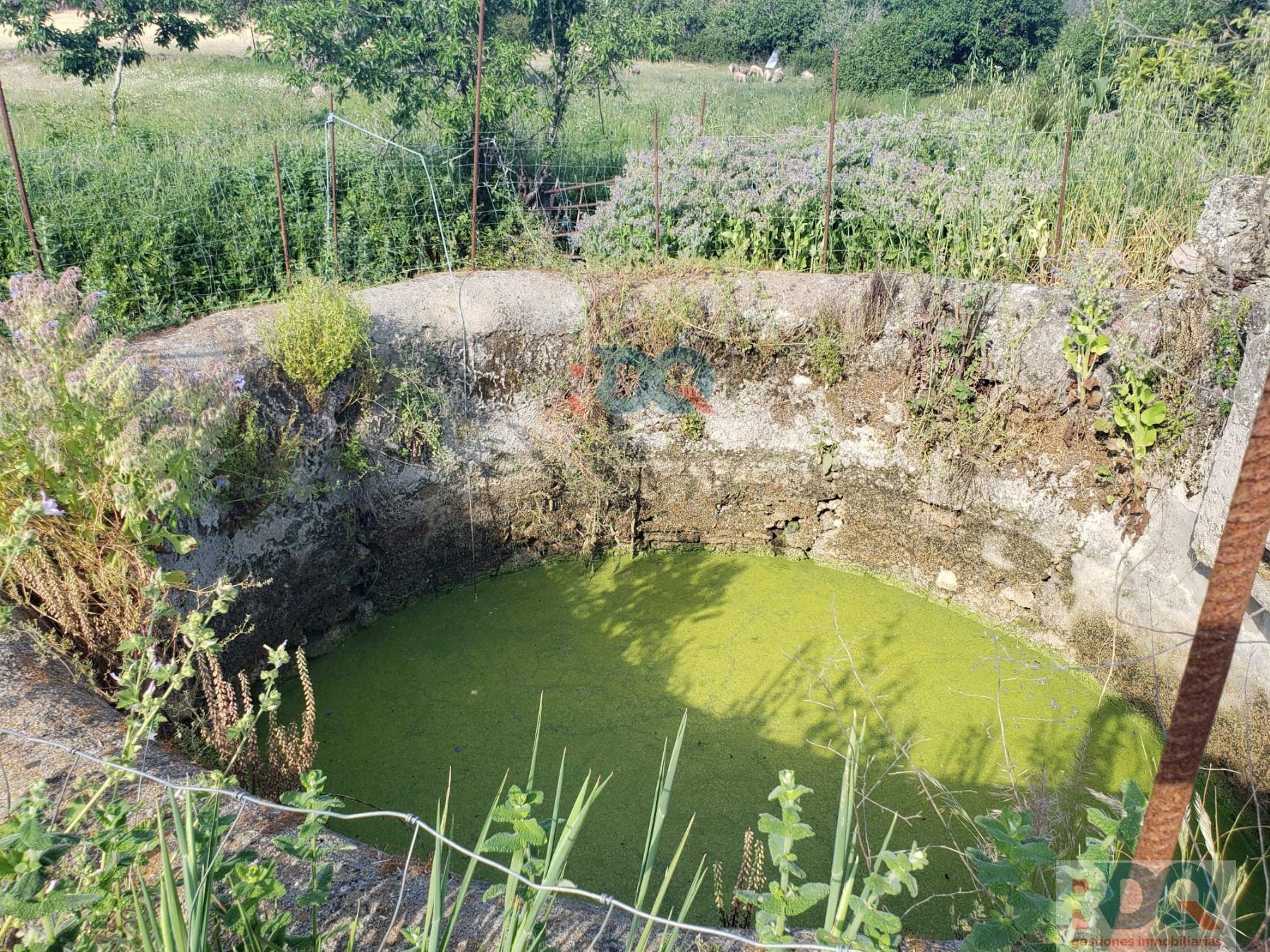 Venta de finca rústica en Alburquerque