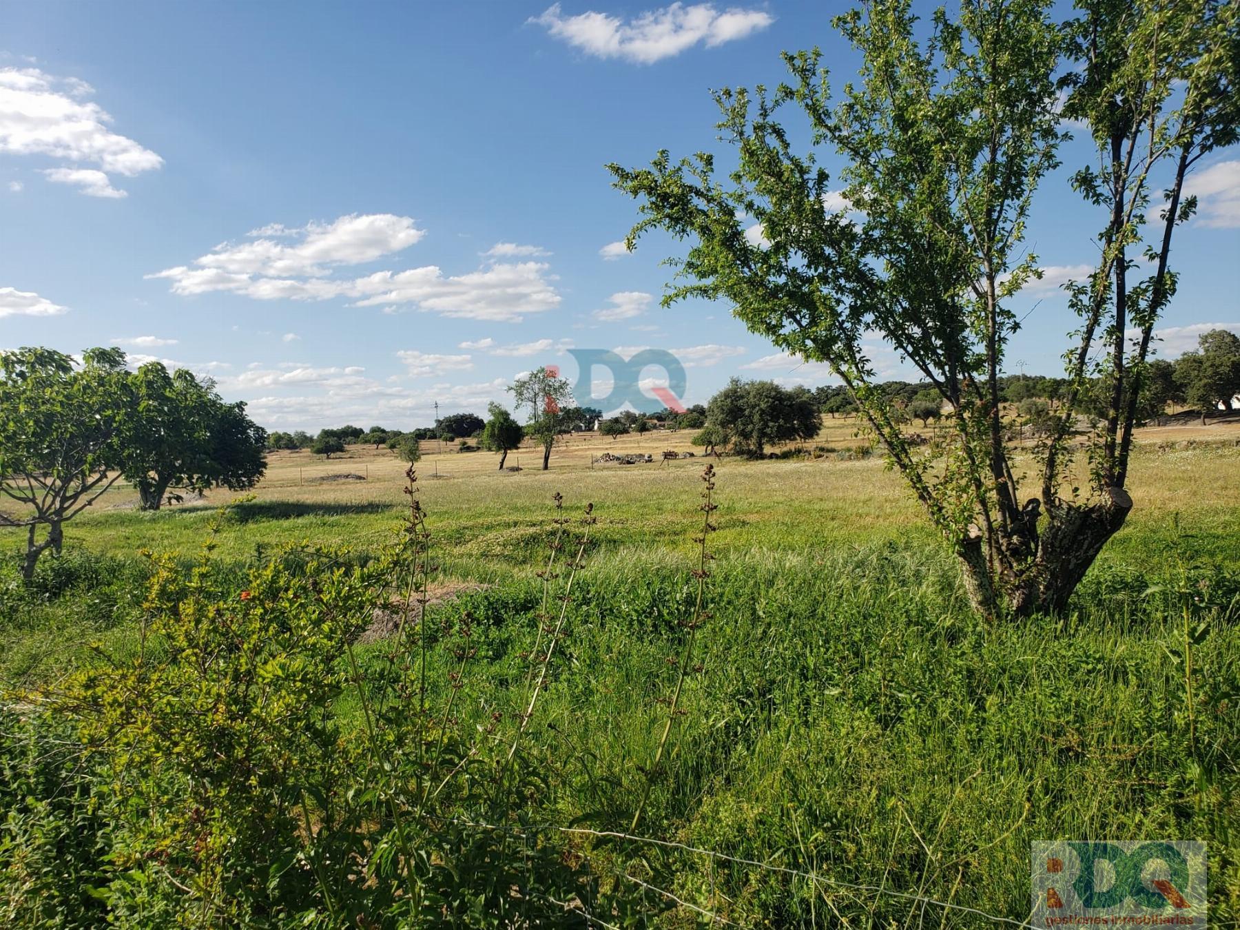 For sale of rural property in Alburquerque
