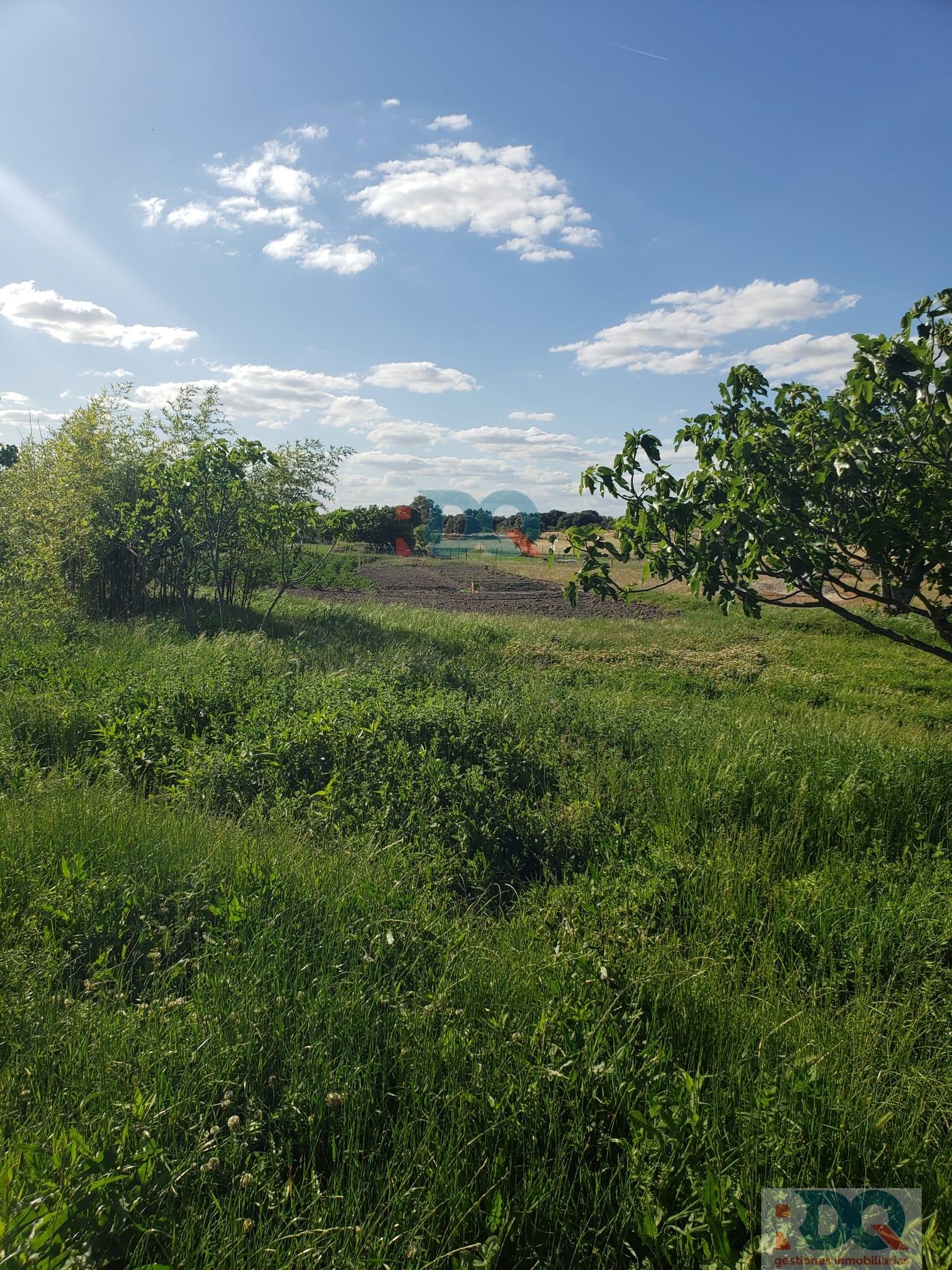 Venta de finca rústica en Alburquerque