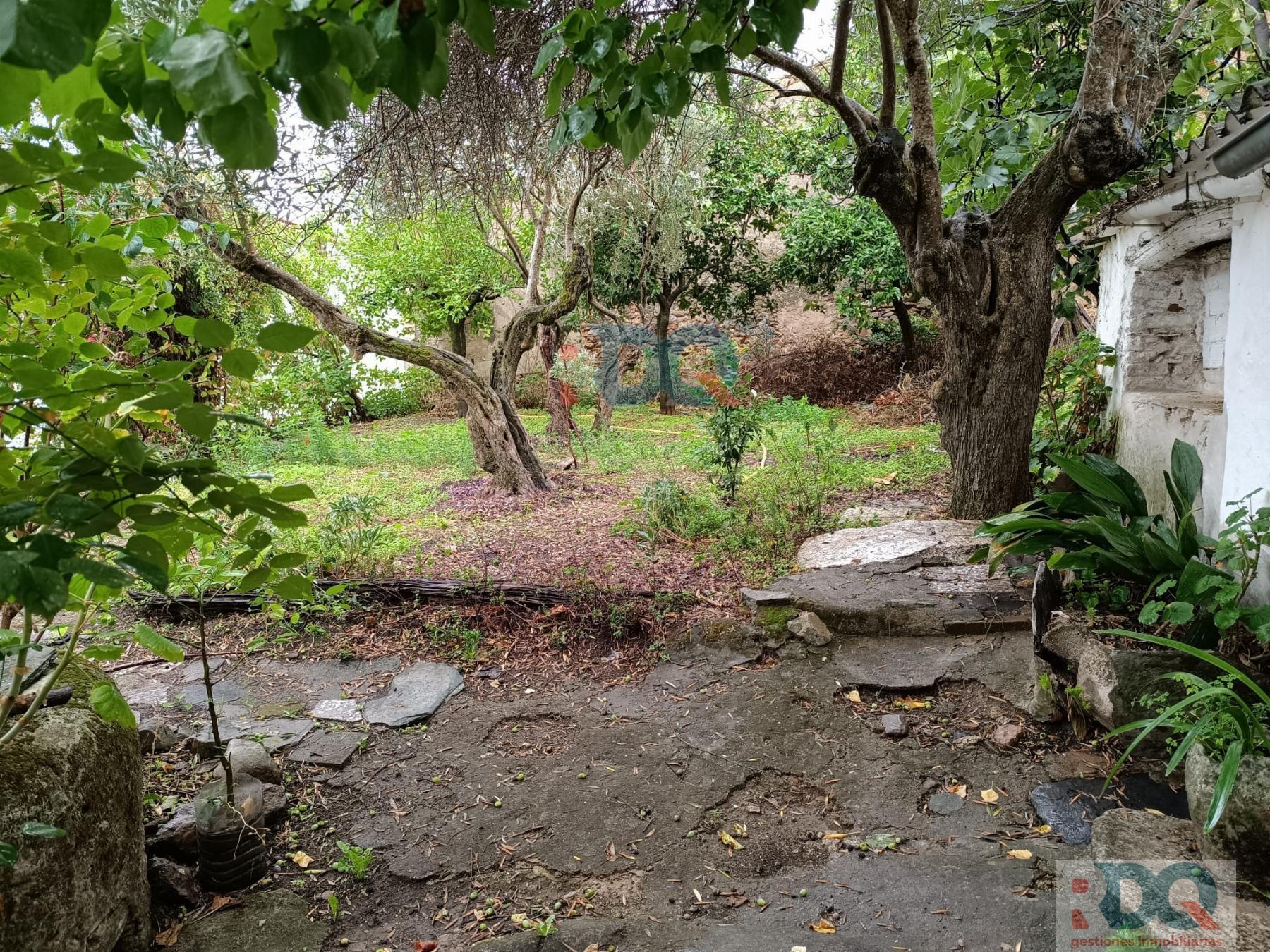 For sale of house in Alburquerque