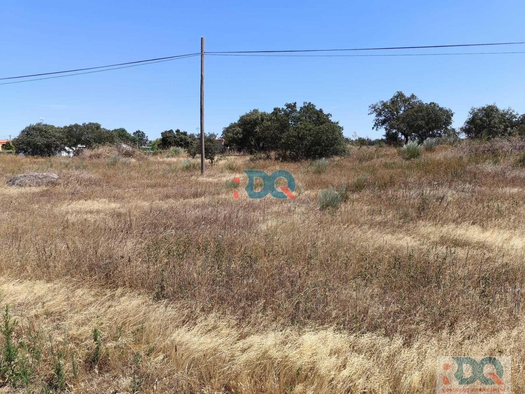 For sale of land in Alburquerque