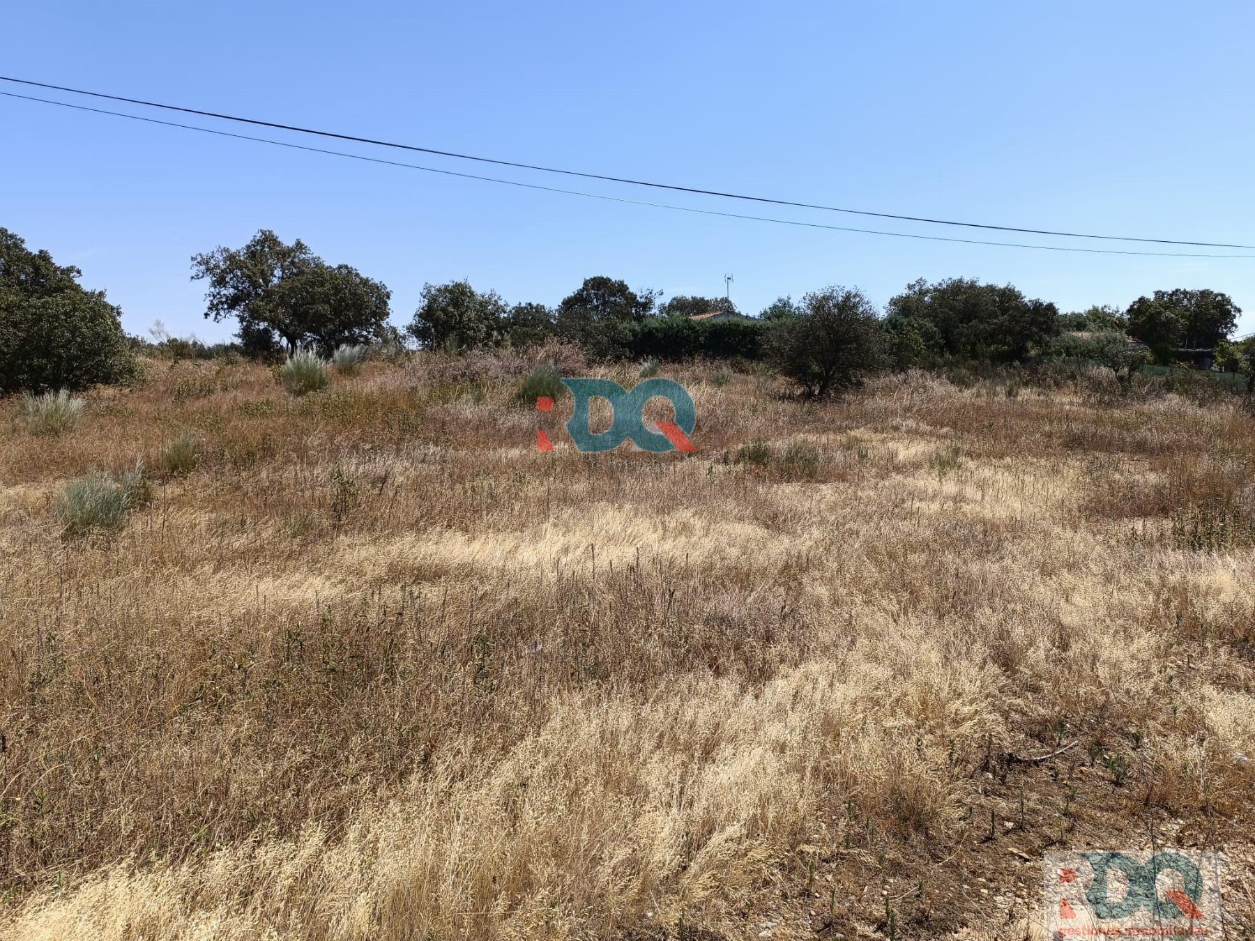 For sale of land in Alburquerque