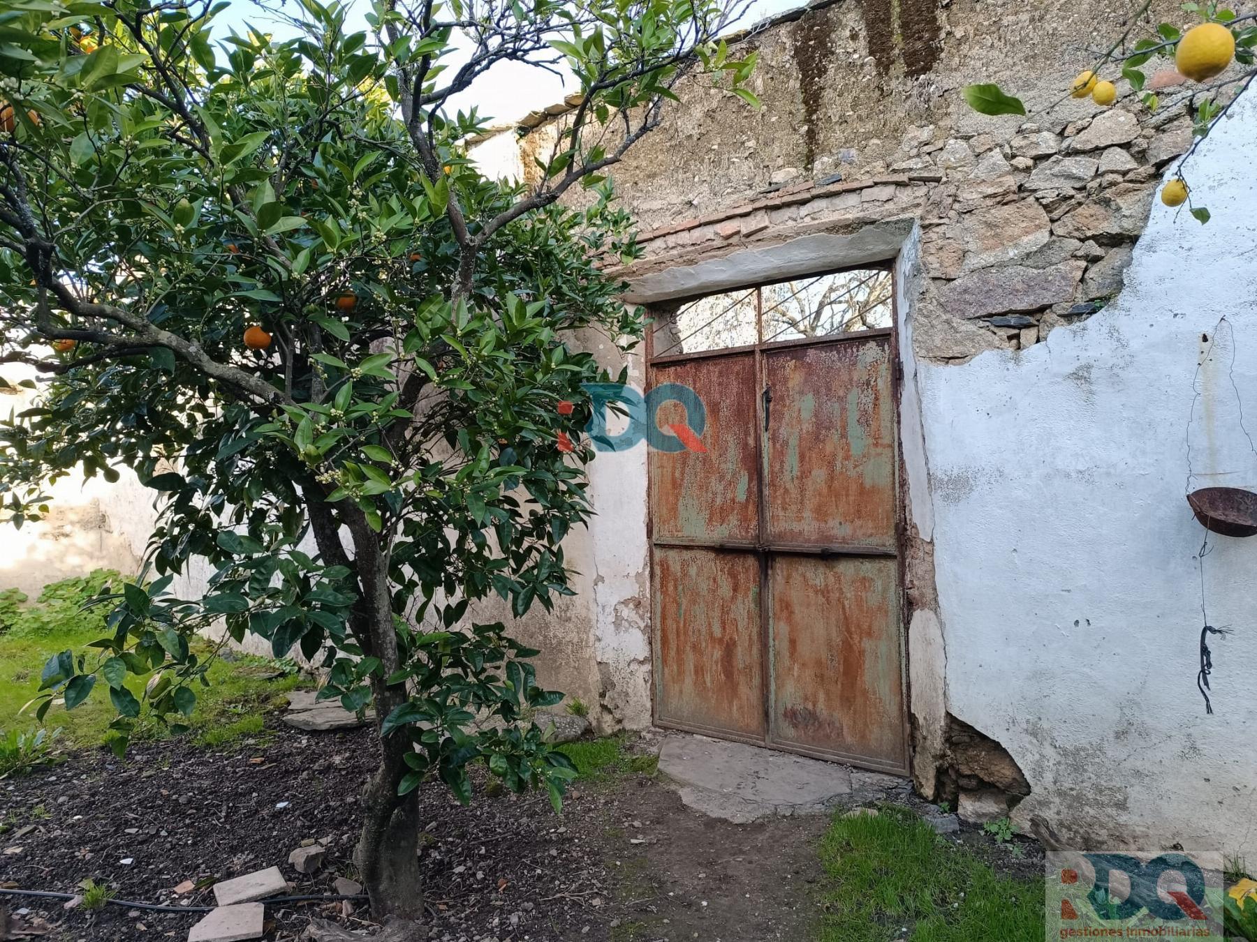 For sale of house in Alburquerque