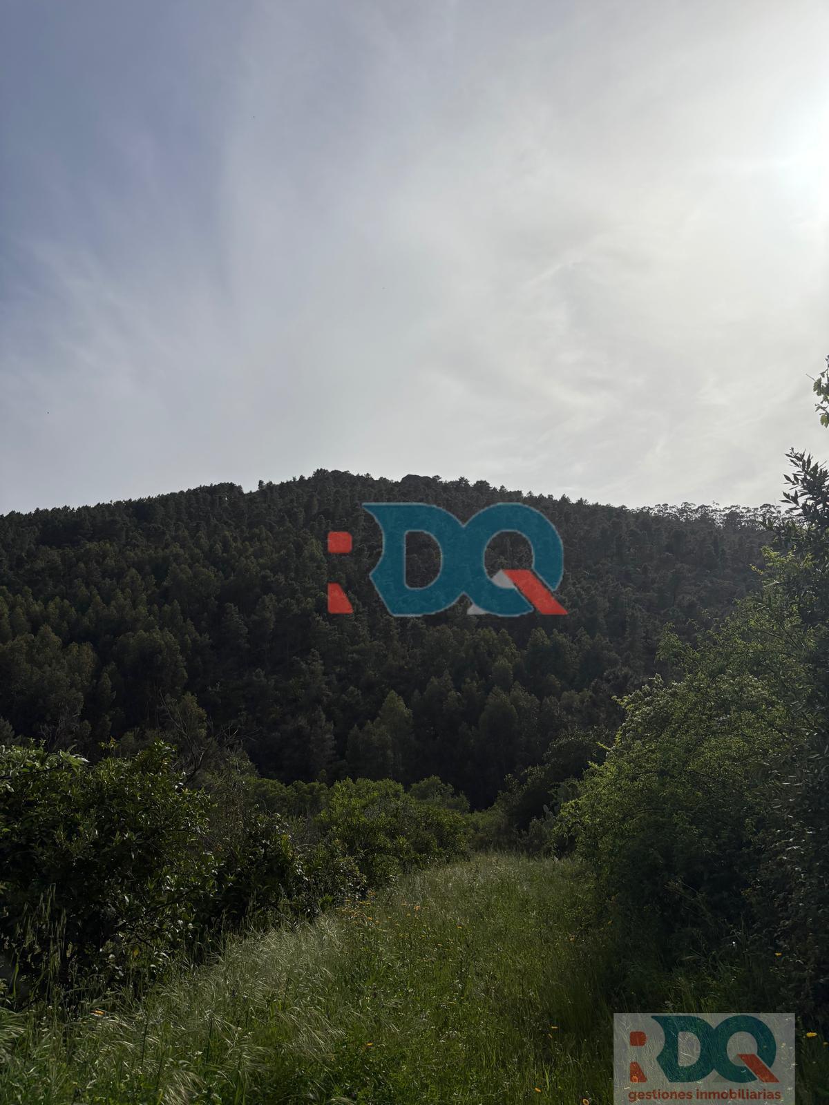 Venta de finca rústica en La Codosera