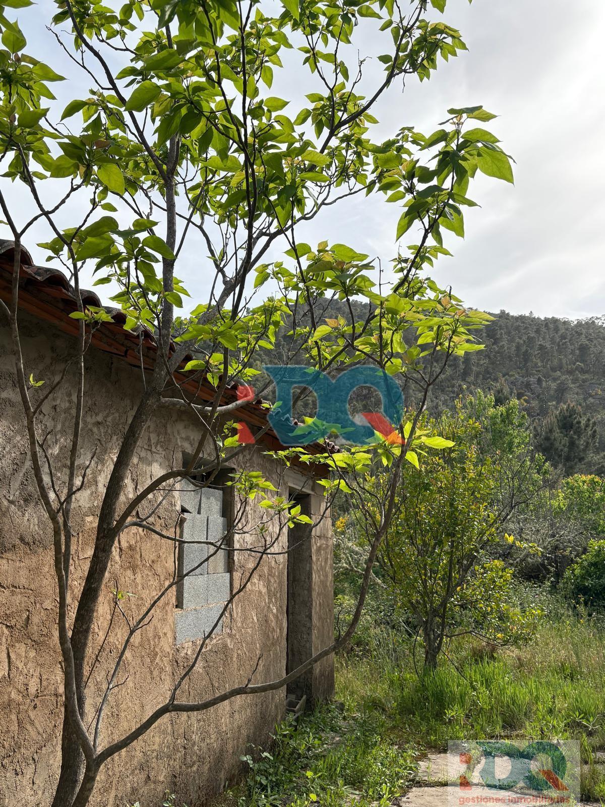 Venta de finca rústica en La Codosera