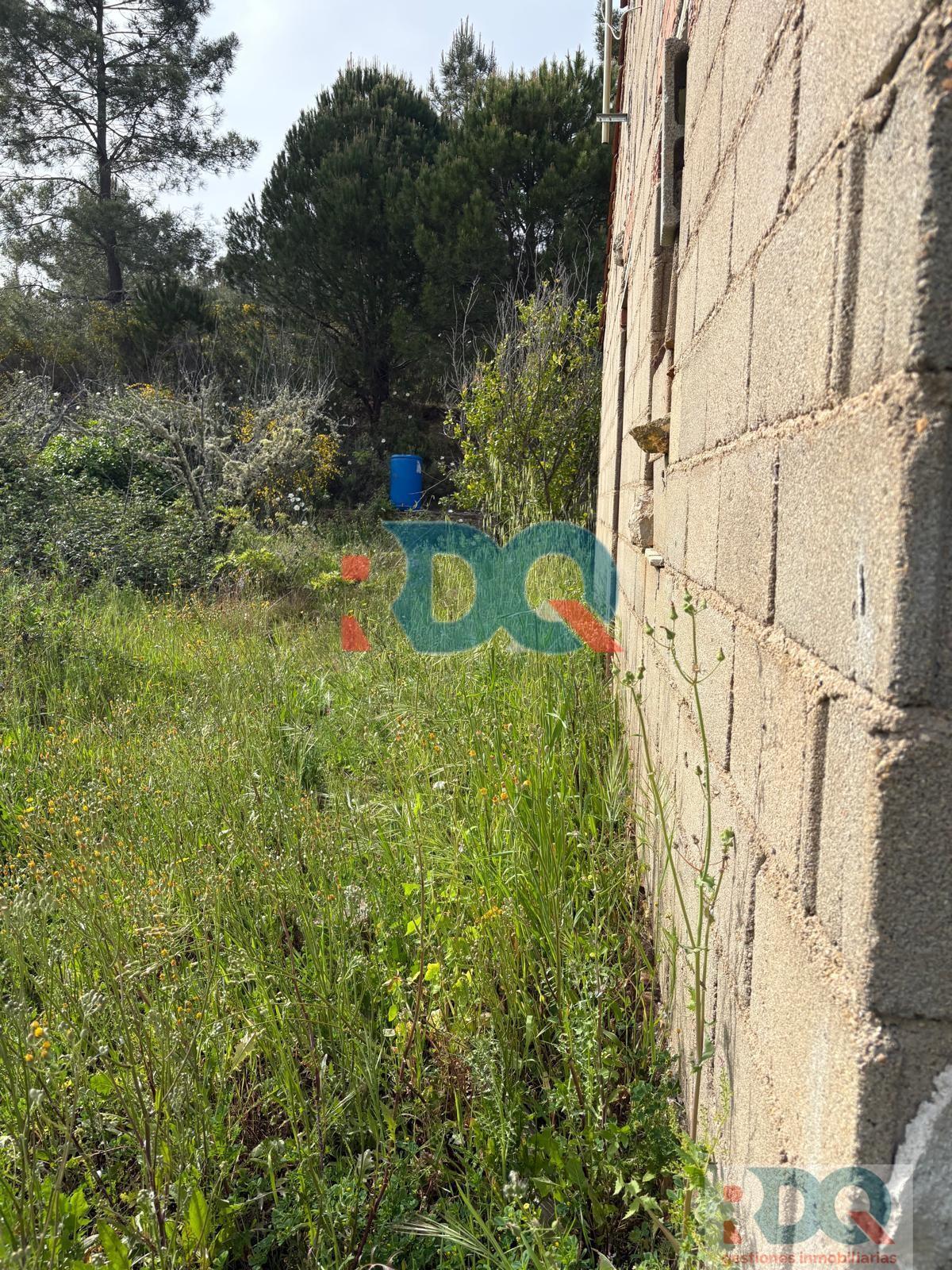 Venta de finca rústica en La Codosera