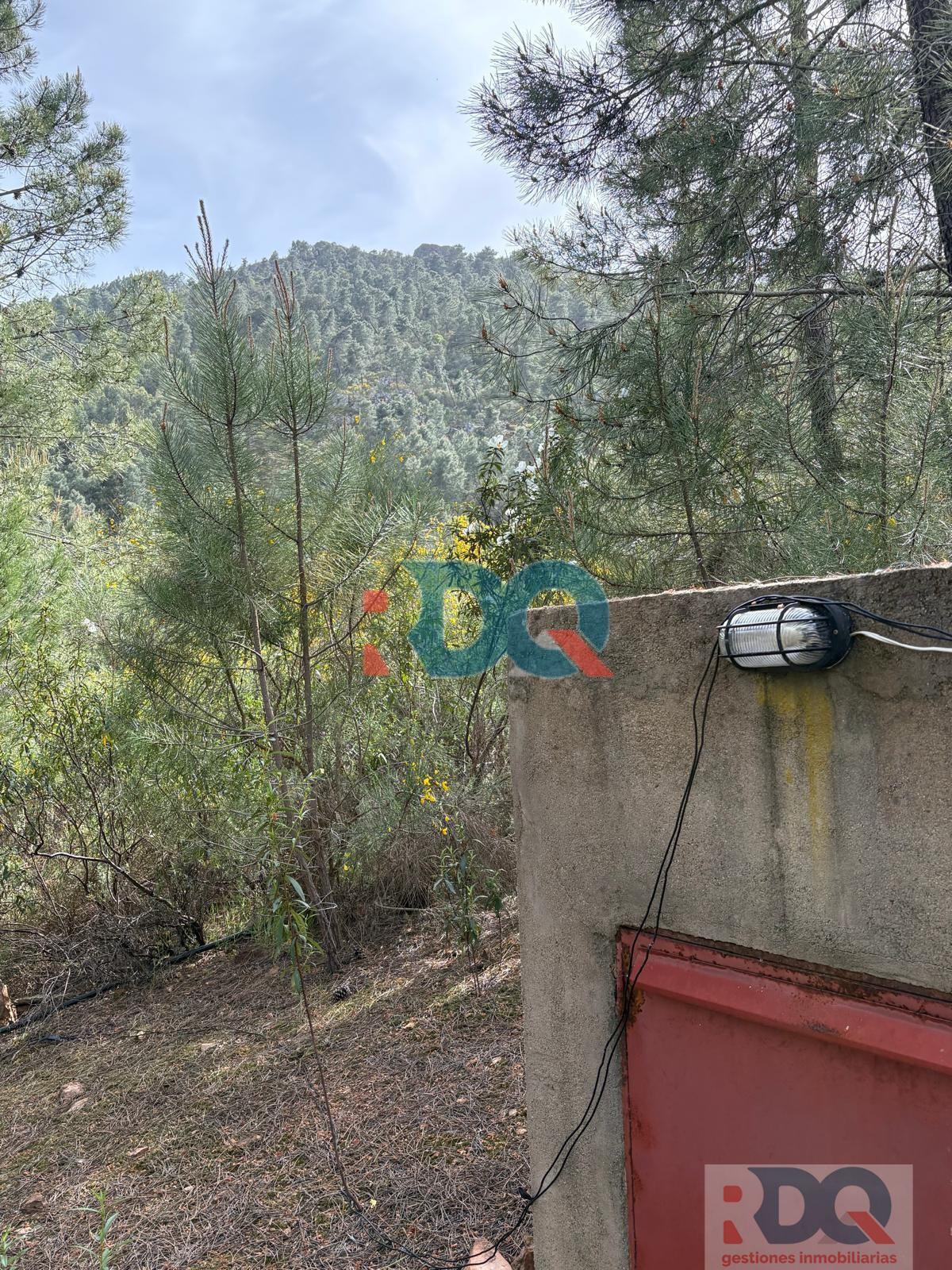 Venta de finca rústica en La Codosera