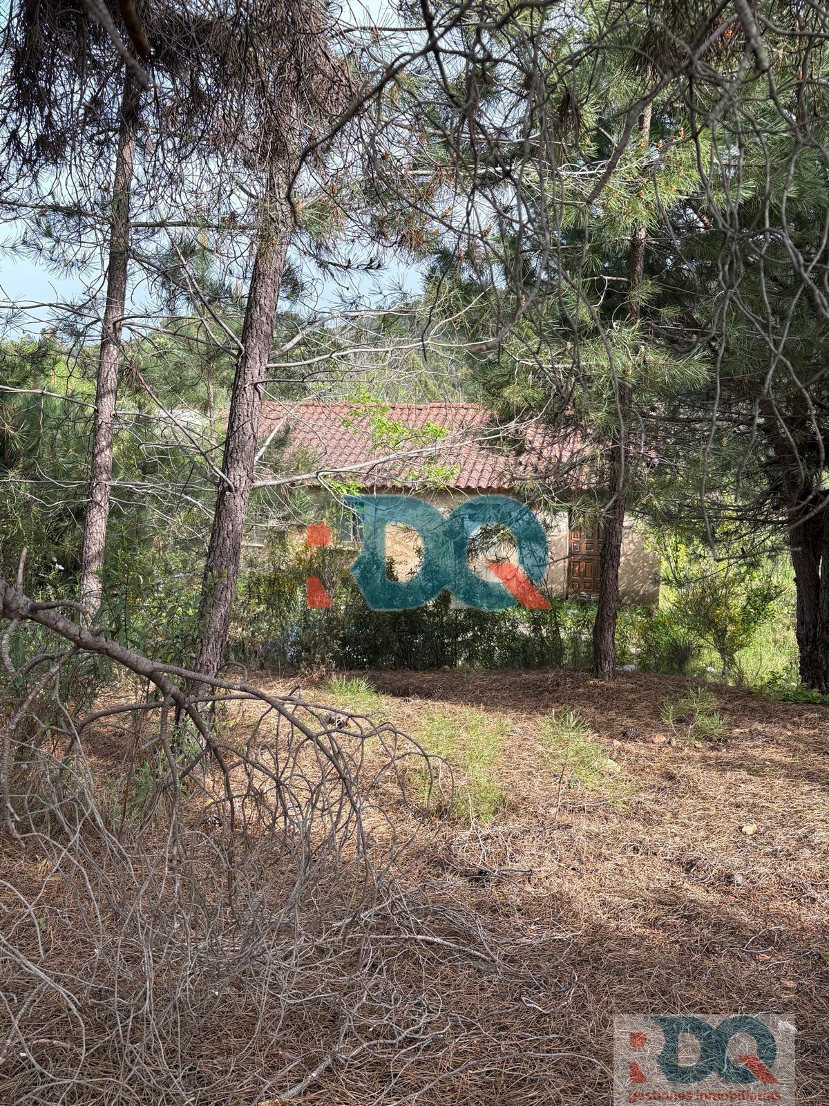 Venta de finca rústica en La Codosera