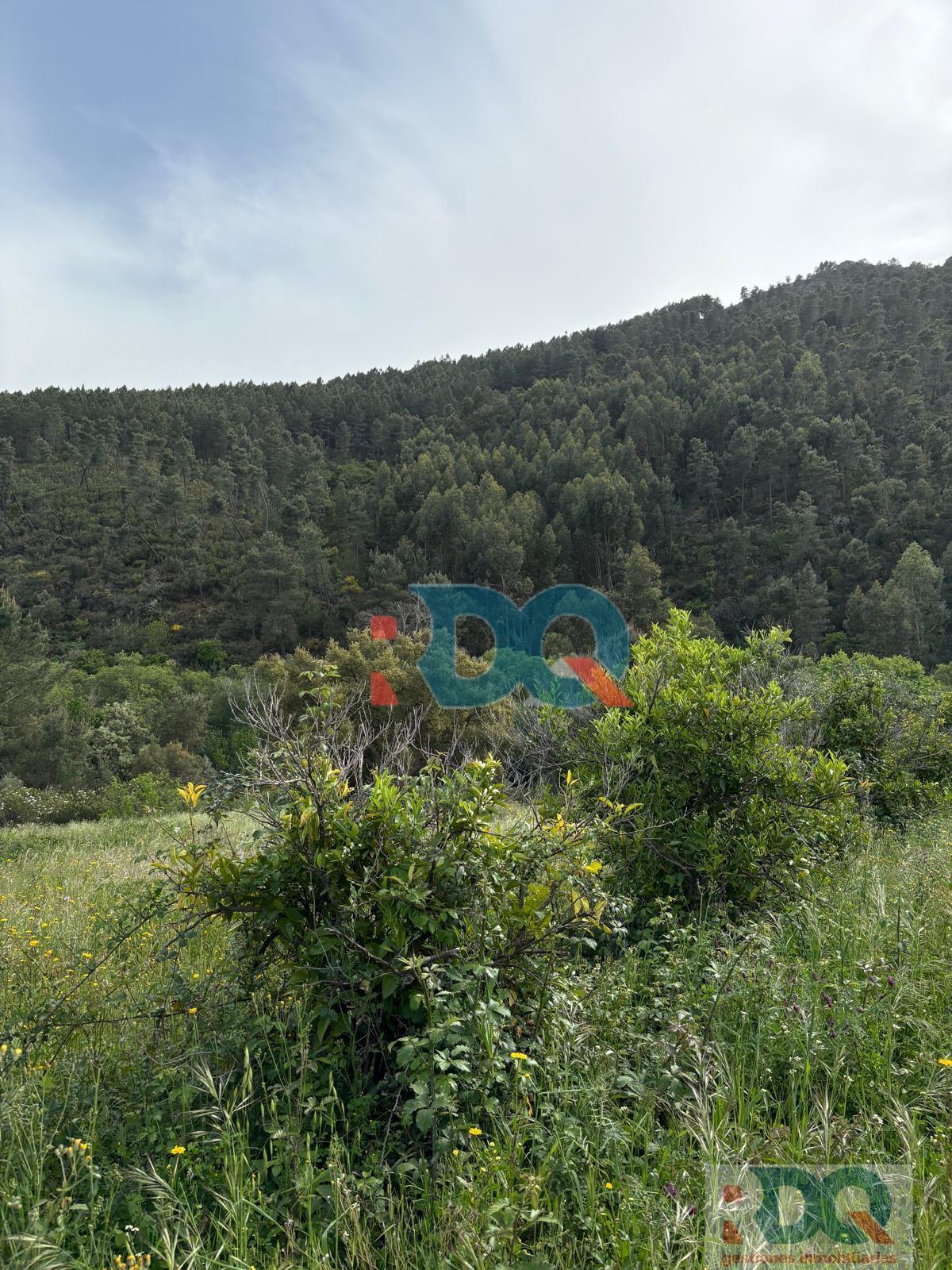 Venta de finca rústica en La Codosera