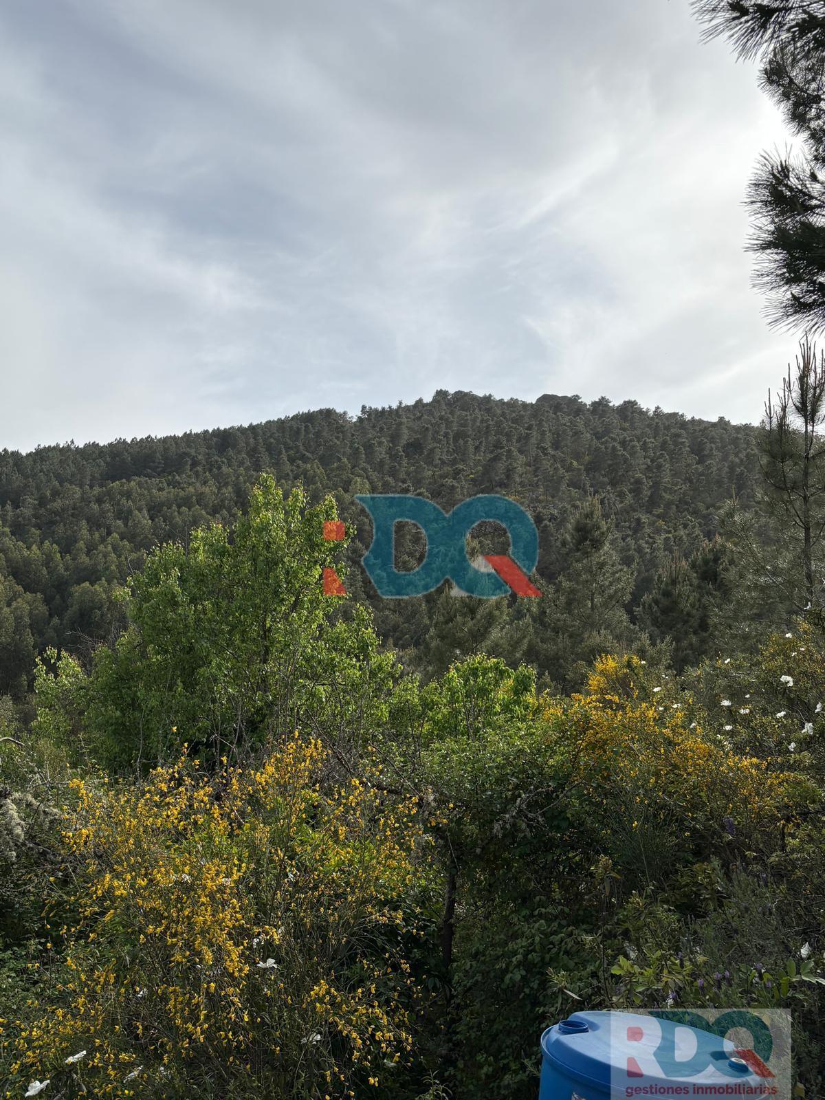 Venta de finca rústica en La Codosera